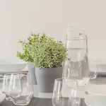 Corso34 By Welc Apartamento